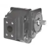 Hydraulic Cast Iron Gear Pumps 2200 Series Pumps and Motor Range